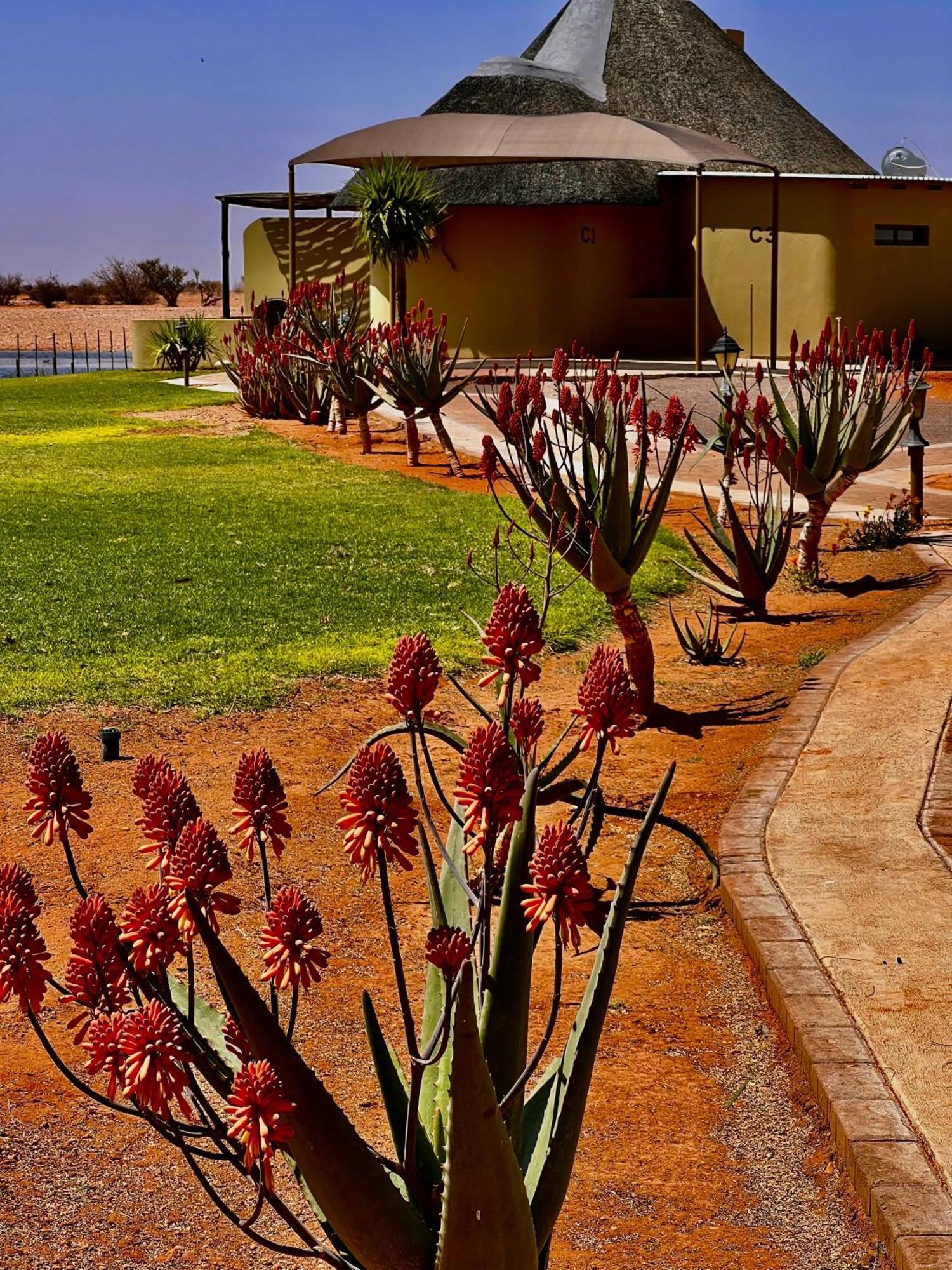 Lapa Lange Game Lodge Mariental Bagian luar foto